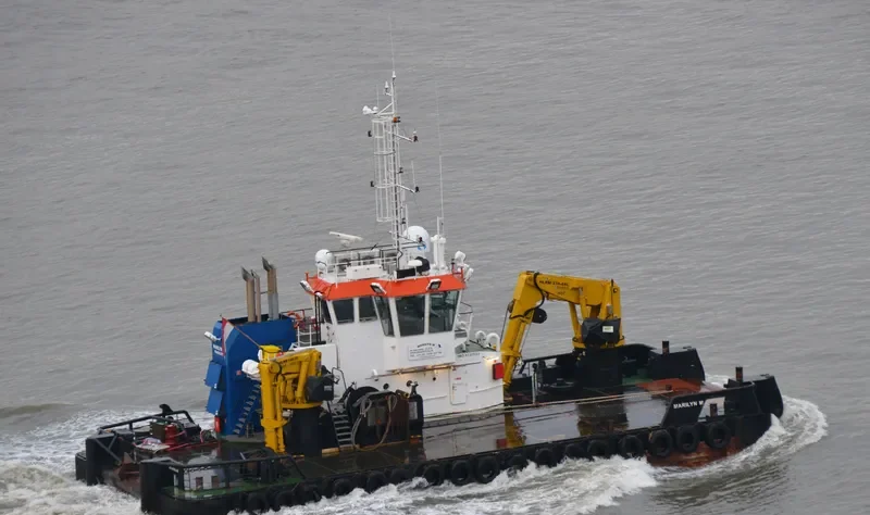 MARILYN M Bulk Carrier IMO 9731523 photo 8