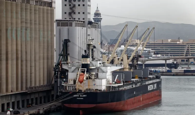 AMIS GLORY Bulk Carrier IMO 9731535