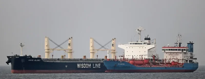 AMIS GLORY Bulk Carrier IMO 9731535 photo 2