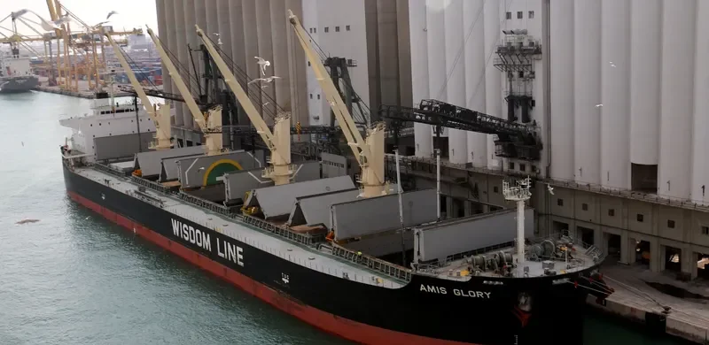 AMIS GLORY Bulk Carrier IMO 9731535 photo 3