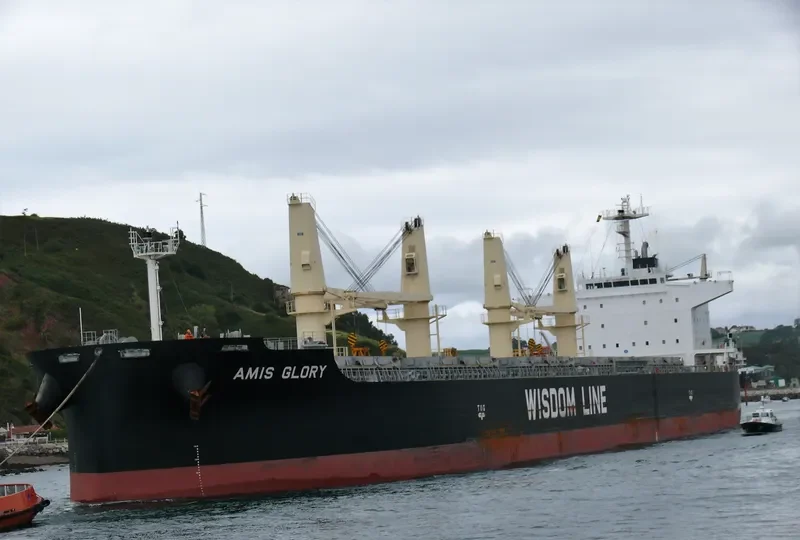 AMIS GLORY Bulk Carrier IMO 9731535 photo 4