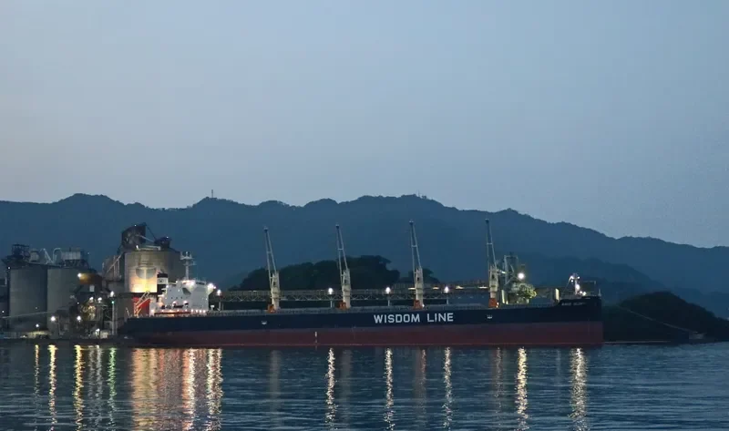 AMIS GLORY Bulk Carrier IMO 9731535 photo 5