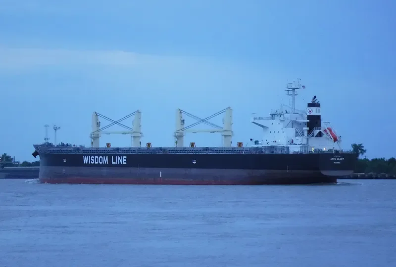 AMIS GLORY Bulk Carrier IMO 9731535 photo 7