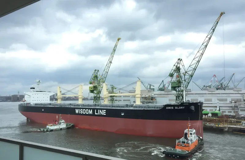 AMIS GLORY Bulk Carrier IMO 9731535 photo 8
