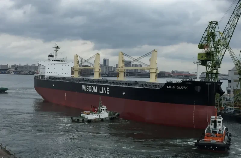 AMIS GLORY Bulk Carrier IMO 9731535 photo 9