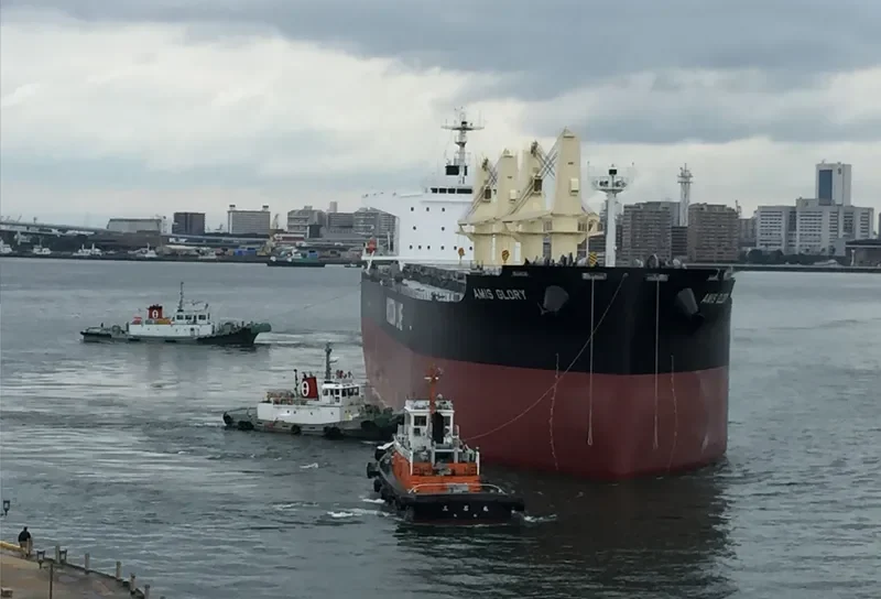 AMIS GLORY Bulk Carrier IMO 9731535 photo 10