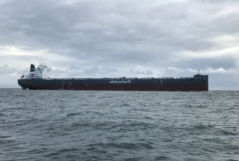HERMANN OLDENDORFF Bulk Carrier IMO 9731585 photo 13