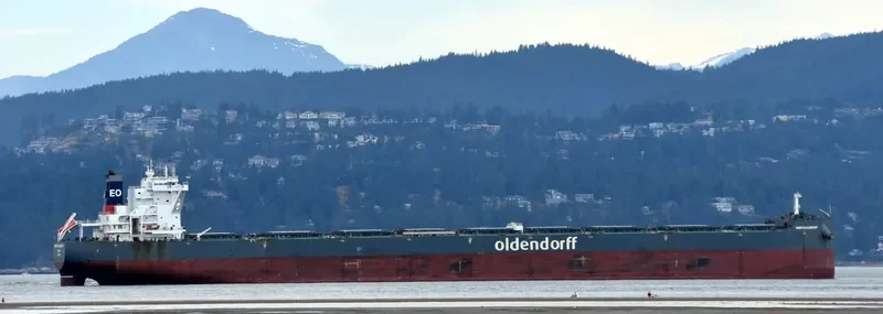 HUBERTUS OLDENDORFF Bulk Carrier IMO 9731602