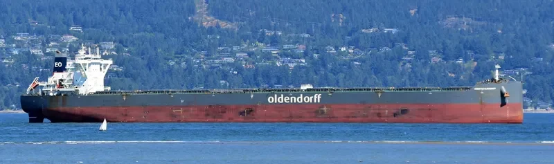 HUBERTUS OLDENDORFF Bulk Carrier IMO 9731602 photo 3