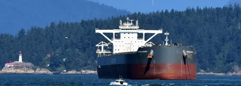 HUBERTUS OLDENDORFF Bulk Carrier IMO 9731602 photo 4