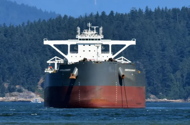 HUBERTUS OLDENDORFF Bulk Carrier IMO 9731602 photo 5