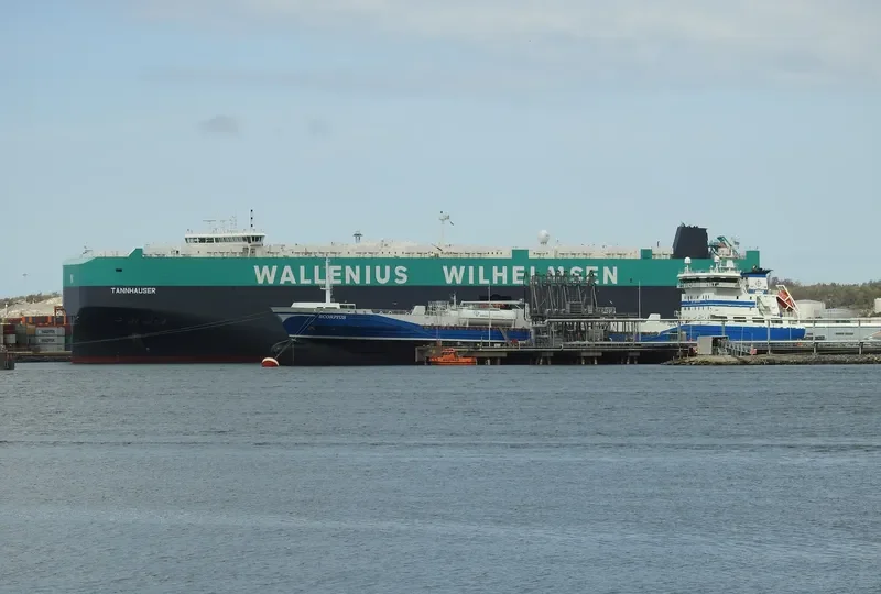 TANNHAUSER General Cargo IMO 9731640 photo 8