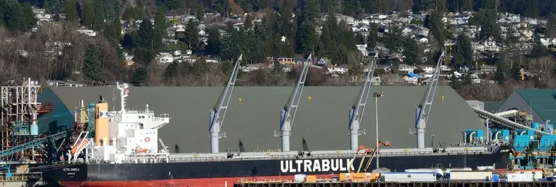 ULTRA DANIELA Bulk Carrier IMO 9731705