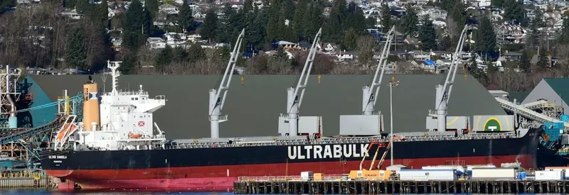 ULTRA DANIELA Bulk Carrier IMO 9731705 photo 2
