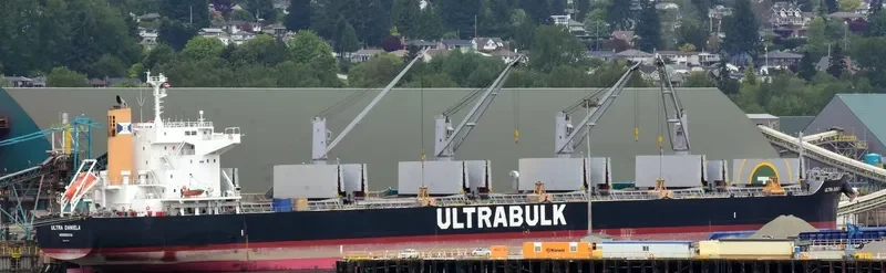 ULTRA DANIELA Bulk Carrier IMO 9731705 photo 3