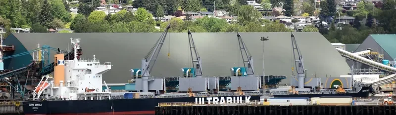 ULTRA DANIELA Bulk Carrier IMO 9731705 photo 4