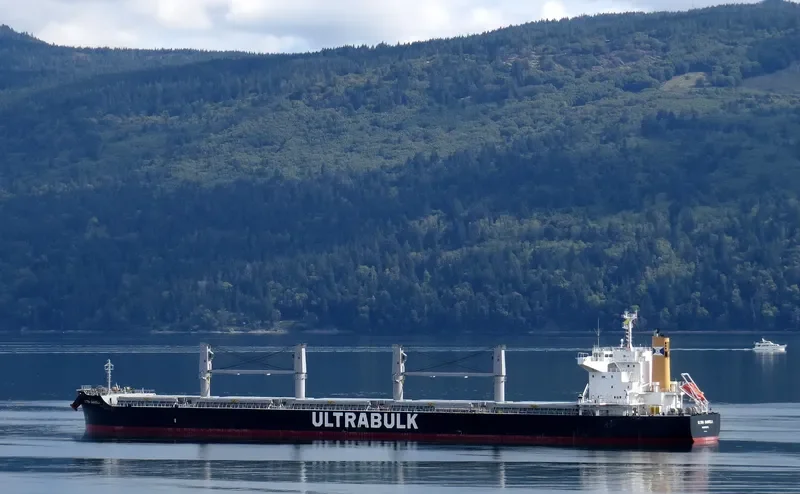 ULTRA DANIELA Bulk Carrier IMO 9731705 photo 5