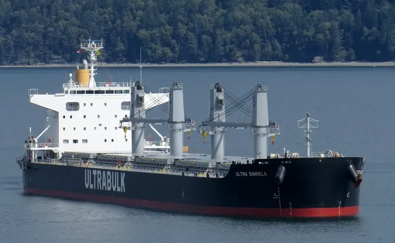 ULTRA DANIELA Bulk Carrier IMO 9731705 photo 6