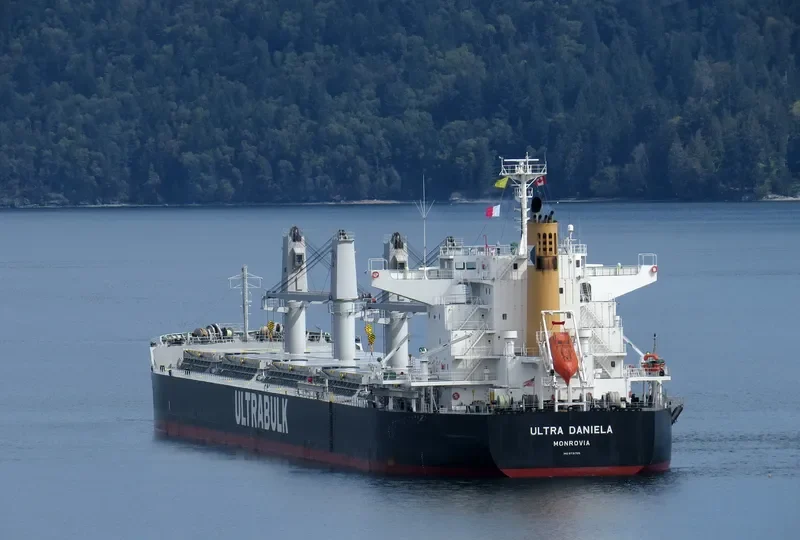 ULTRA DANIELA Bulk Carrier IMO 9731705 photo 7