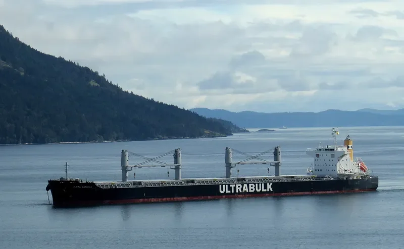 ULTRA DANIELA Bulk Carrier IMO 9731705 photo 8
