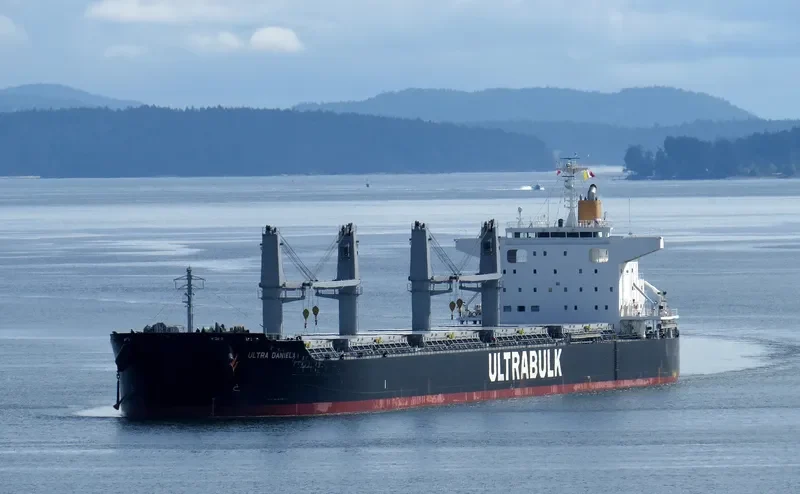 ULTRA DANIELA Bulk Carrier IMO 9731705 photo 9