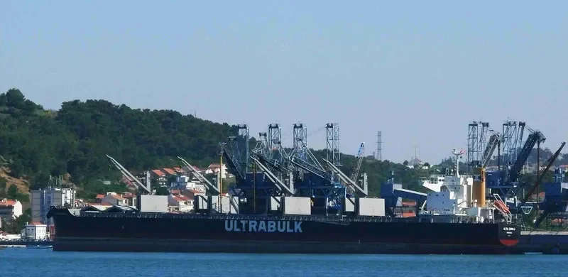 ULTRA DANIELA Bulk Carrier IMO 9731705 photo 10