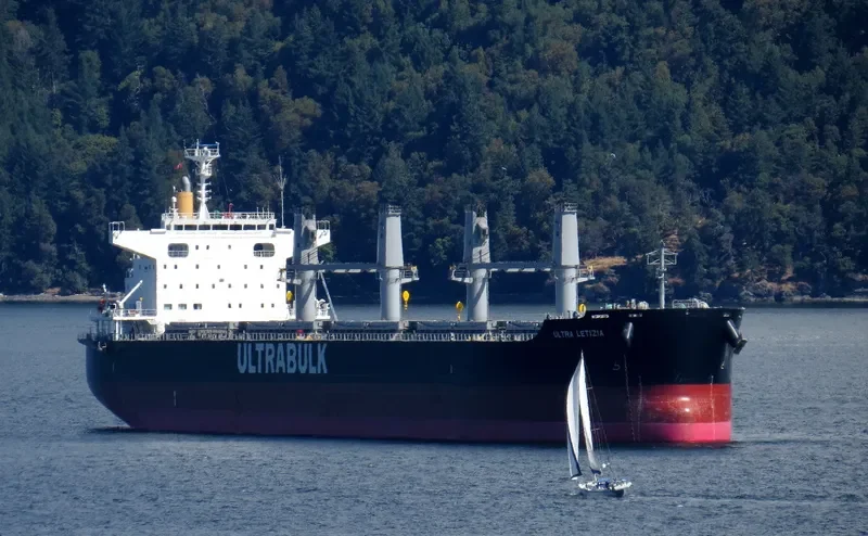 LETIZIA OETKER Bulk Carrier IMO 9731717