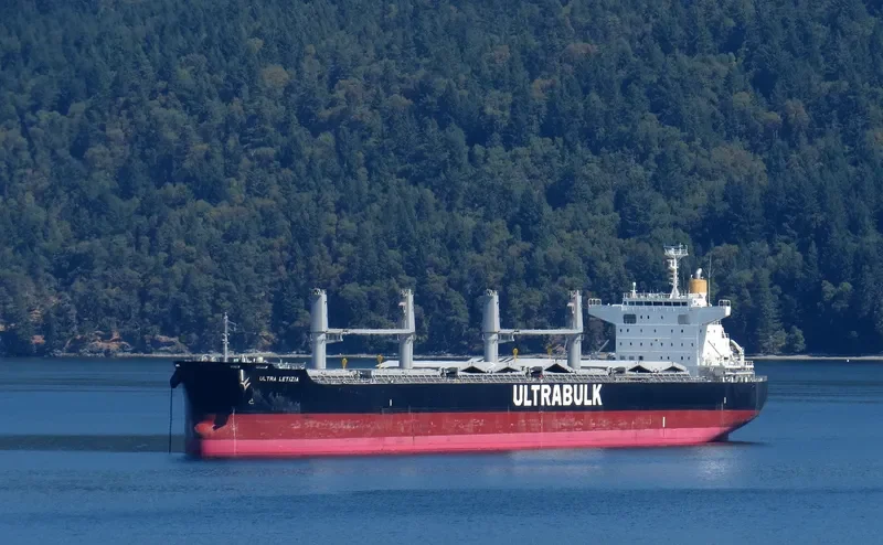 LETIZIA OETKER Bulk Carrier IMO 9731717 photo 2