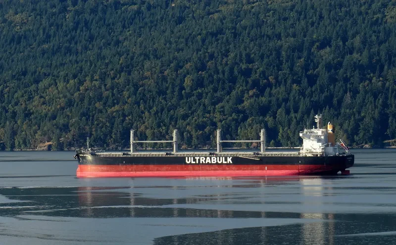 LETIZIA OETKER Bulk Carrier IMO 9731717 photo 3
