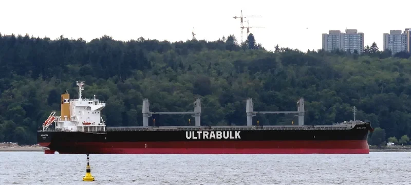 LETIZIA OETKER Bulk Carrier IMO 9731717 photo 4