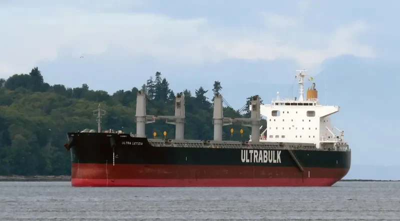 LETIZIA OETKER Bulk Carrier IMO 9731717 photo 7