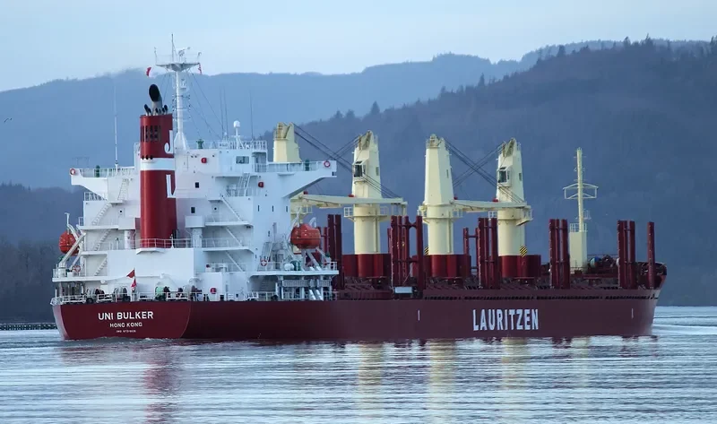 UNI BULKER Bulk Carrier IMO 9731808 photo 6