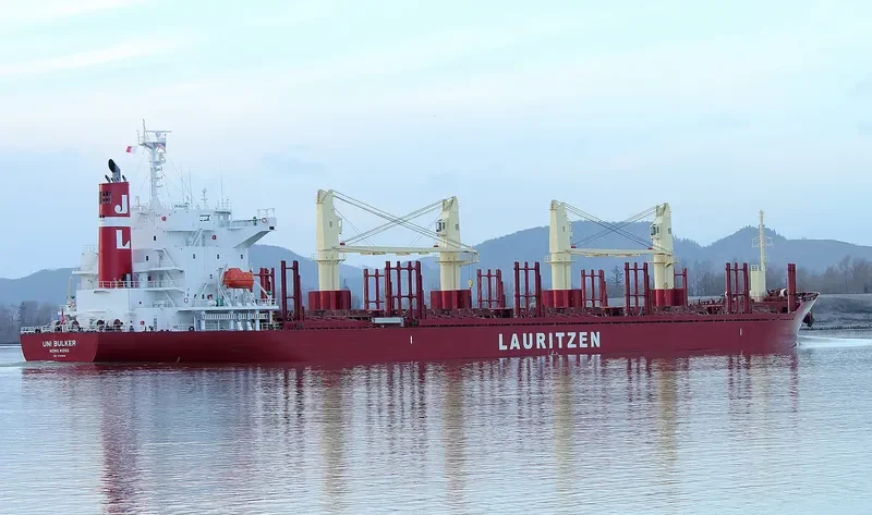 UNI BULKER Bulk Carrier IMO 9731808 photo 7