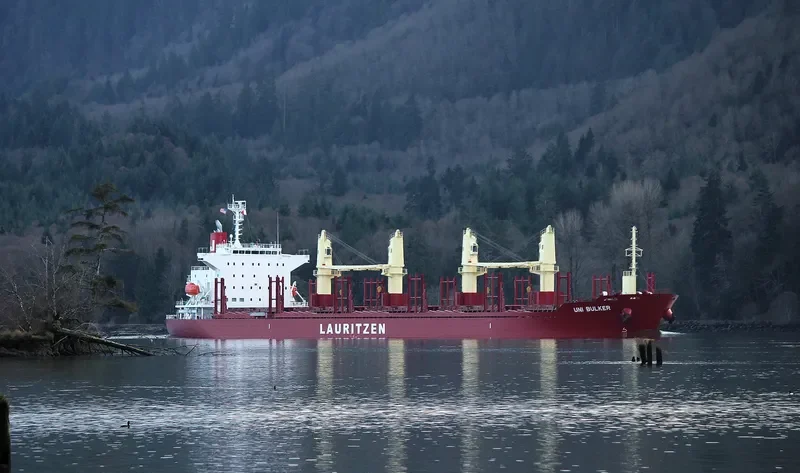 UNI BULKER Bulk Carrier IMO 9731808 photo 10