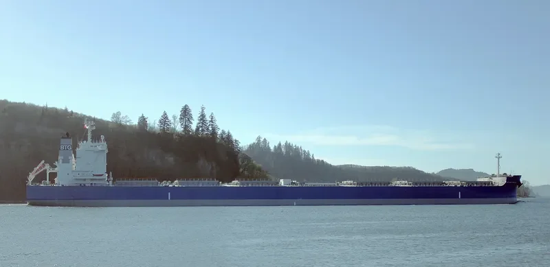 BTG MATTERHORN Bulk Carrier IMO 9731822 photo 4
