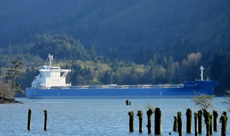 BTG MATTERHORN Bulk Carrier IMO 9731822 photo 6