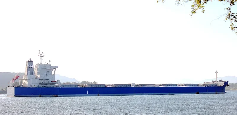 BTG FUJI Bulk Carrier IMO 9731846
