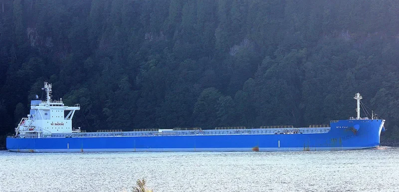 BTG FUJI Bulk Carrier IMO 9731846 photo 2