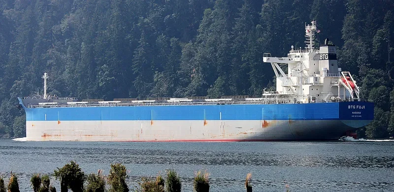BTG FUJI Bulk Carrier IMO 9731846 photo 3