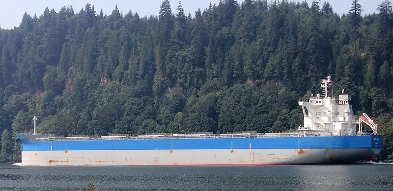 BTG FUJI Bulk Carrier IMO 9731846 photo 4