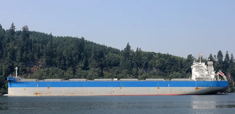 BTG FUJI Bulk Carrier IMO 9731846 photo 5
