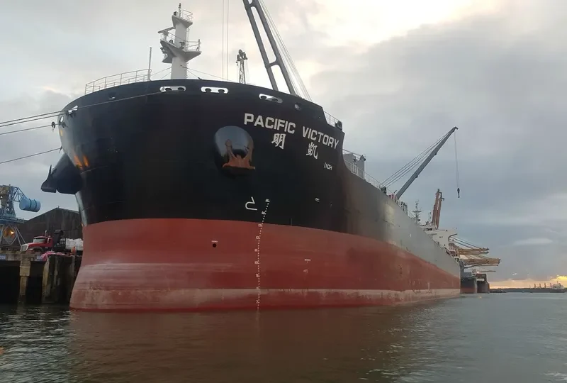 PACIFIC VICTORY Bulk Carrier IMO 9731896