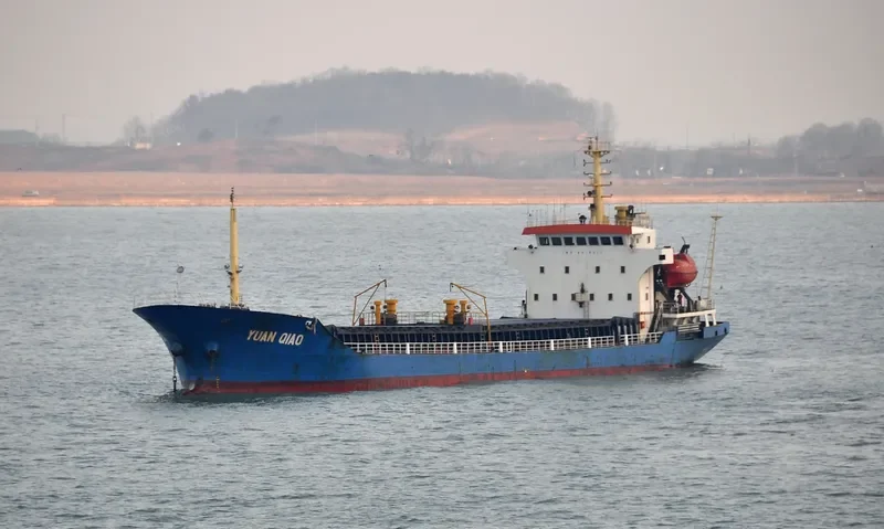 PACIFIC VICTORY Bulk Carrier IMO 9731896 photo 2