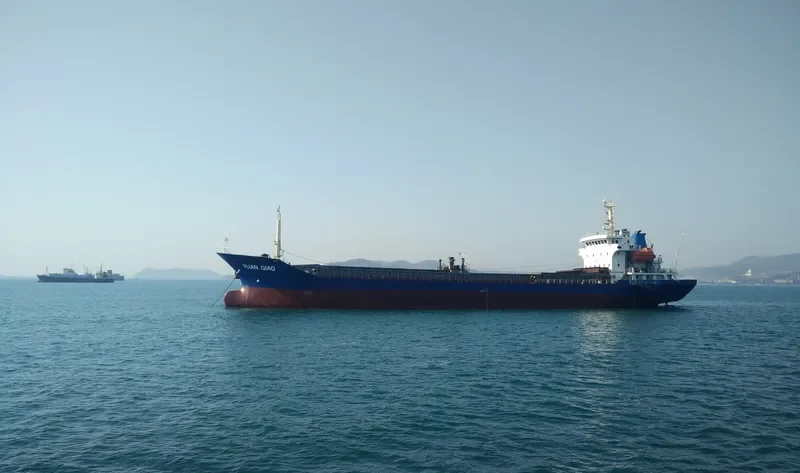 PACIFIC VICTORY Bulk Carrier IMO 9731896 photo 6