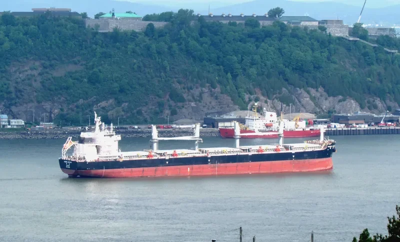 PACIFIC ACTIVITY Bulk Carrier IMO 9731901 photo 2