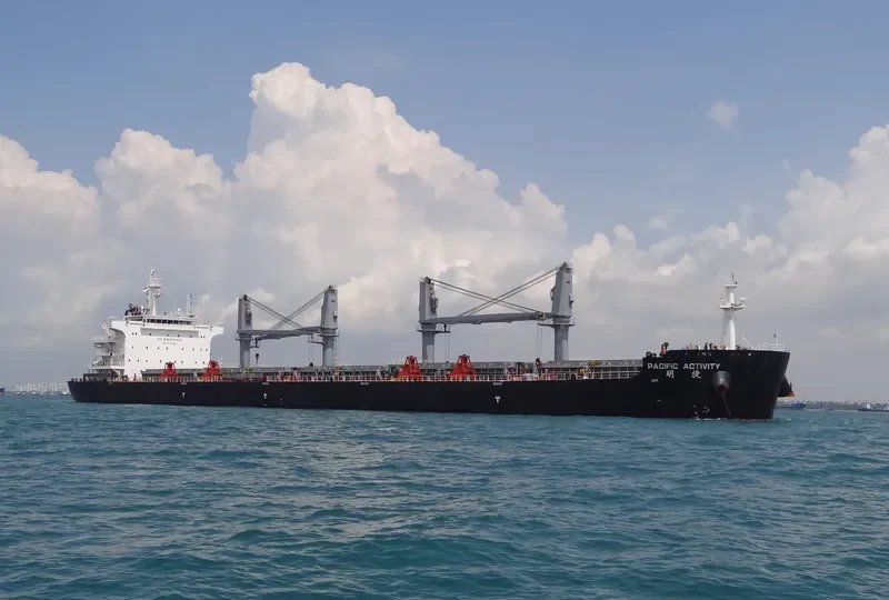 PACIFIC ACTIVITY Bulk Carrier IMO 9731901 photo 3