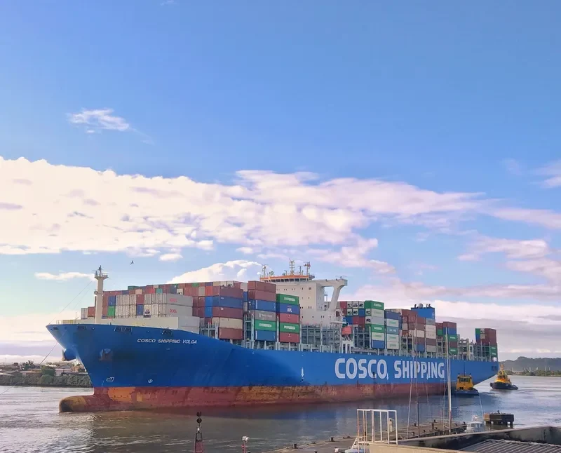 COSCO SHIPPING VOLGA Container Ship IMO 9731925 photo 8