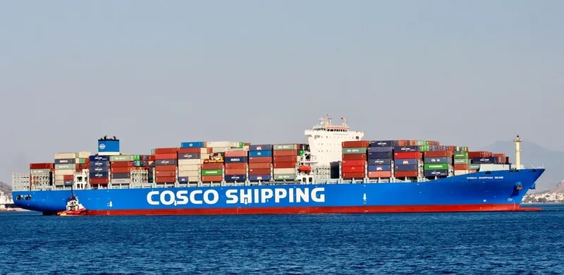 COSCO SHIPPING SEINE Container Ship IMO 9731949