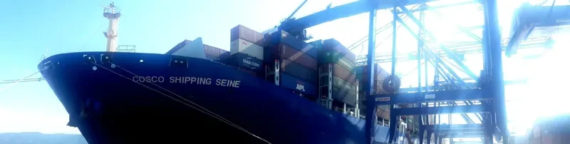 COSCO SHIPPING SEINE Container Ship IMO 9731949 photo 8