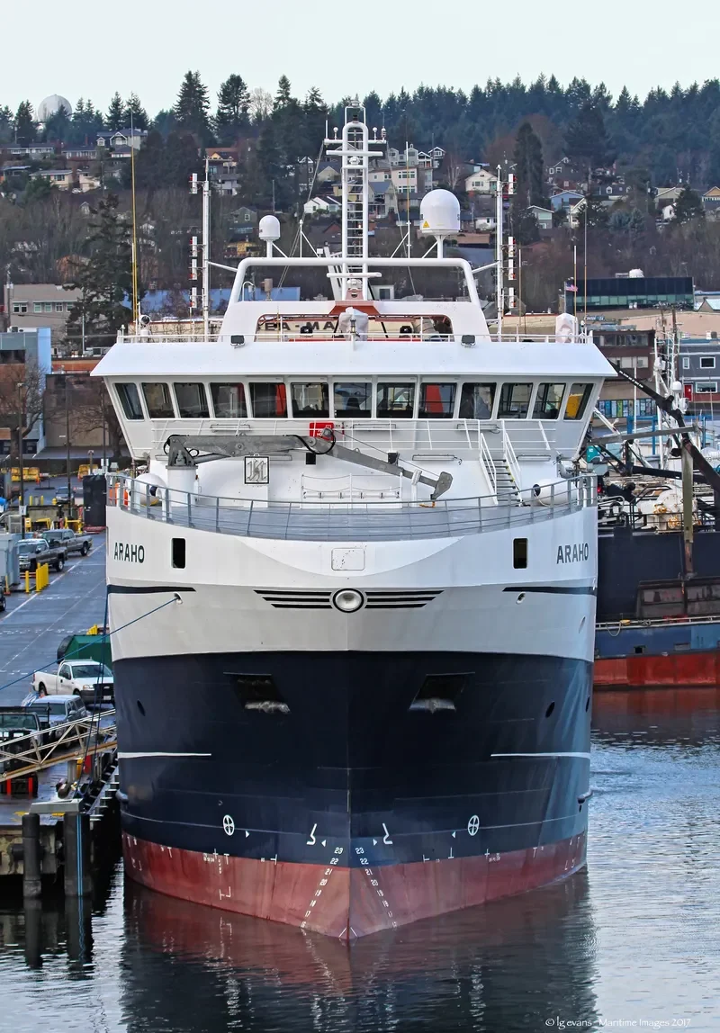 ARAHO General Cargo IMO 9731963 photo 3